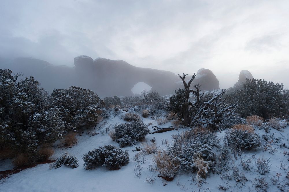 Foggy Morning, North Window. Original public domain image from Flickr