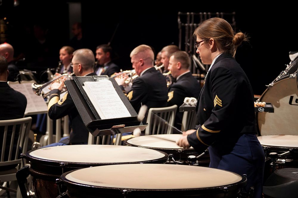 U.S. Army Europe Band and Chorus 'last concert' in Schwetzingen