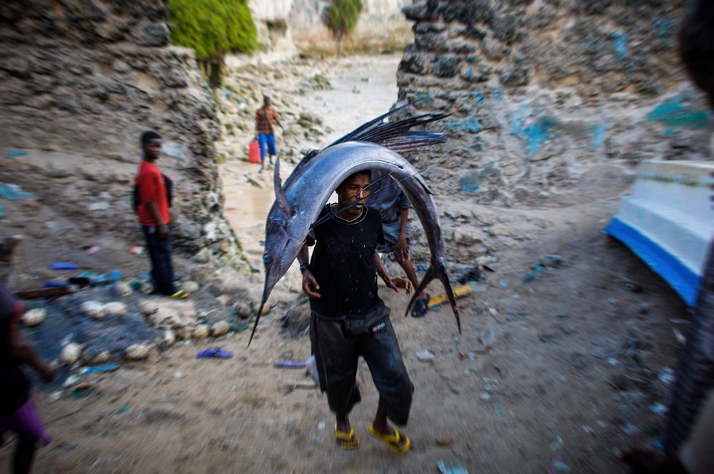 A Somali man carries a large sailfish on his head as he transports it to Mogadishu's fish market in the Xamar Weyne district…