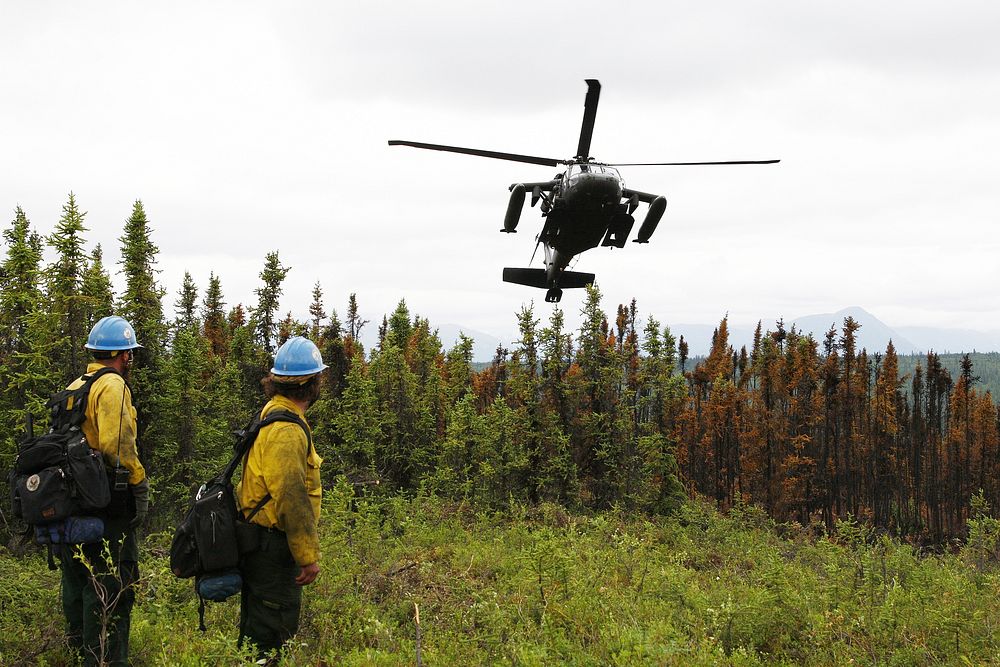Members with the U.S. Forest Service's Lassen Interagency Hotshot crew stationed at Susanville, Calif., observe an Alaska…
