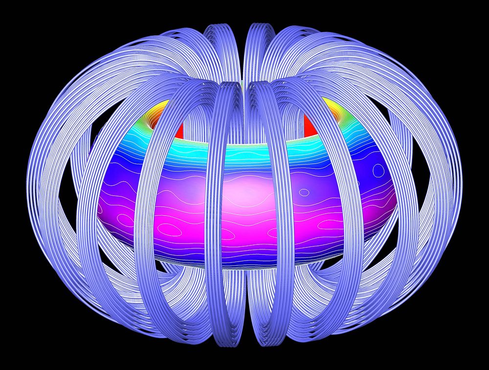 Shown is the iter plasma surface and toroidal magnetic field coils; color contours indicate local magnetic strength at Oak…