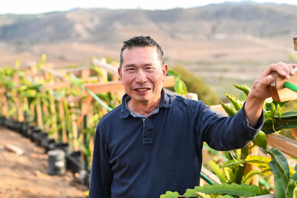 New farmer Leonardo Aguila checks the dragon fruit plants on his 6.3-acre farm in Fallbrook, CA, on Nov. 11, 2018.