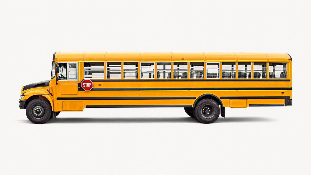 School bus, vehicle isolated image on white background