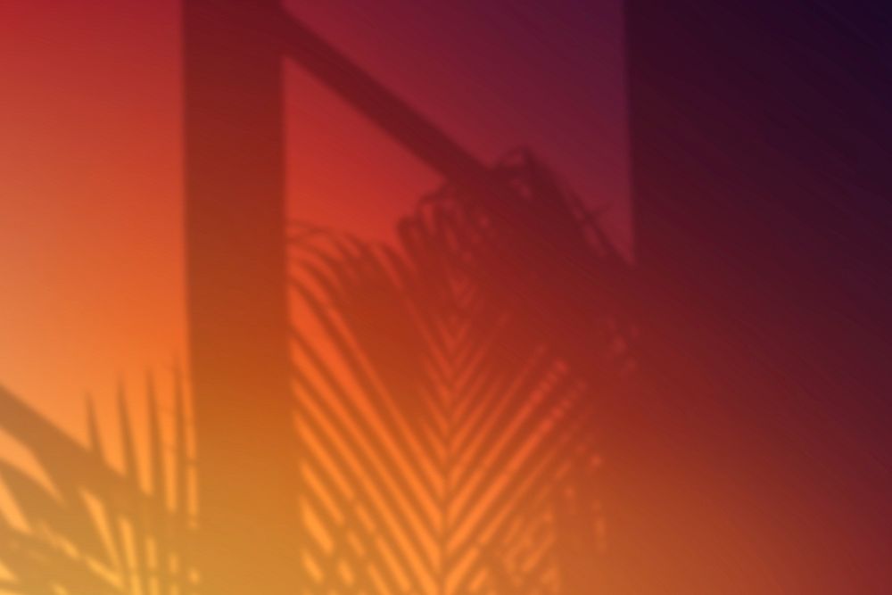 Sunset color background psd with leaf shadow