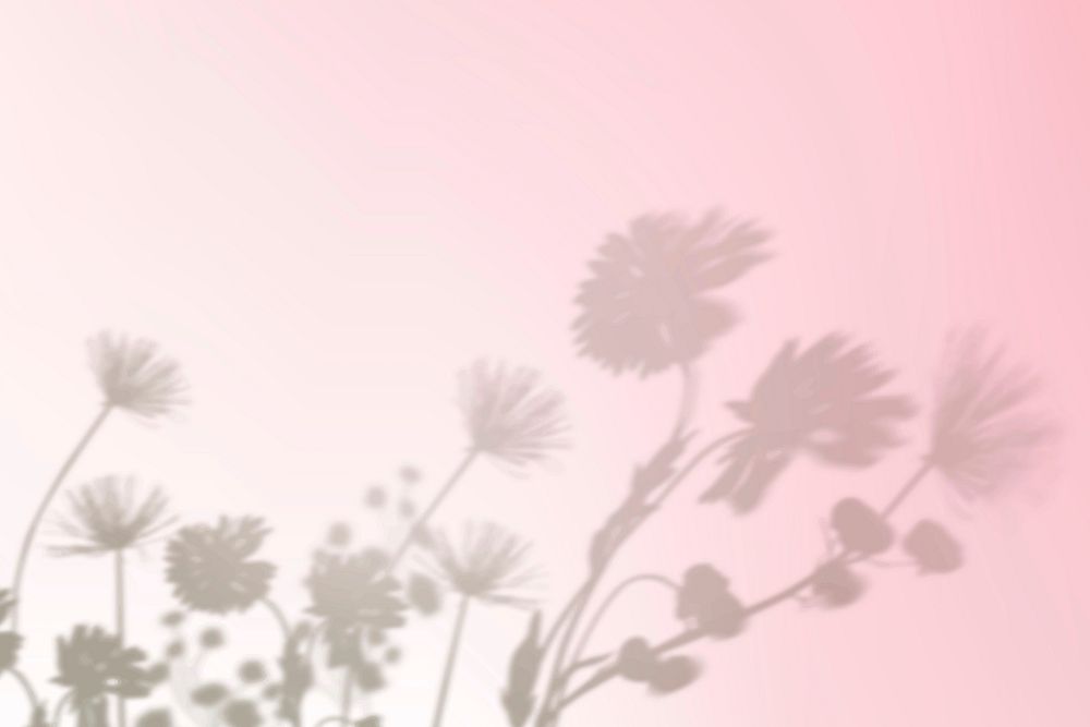 Aesthetic flower shadow background vector in pink gradient