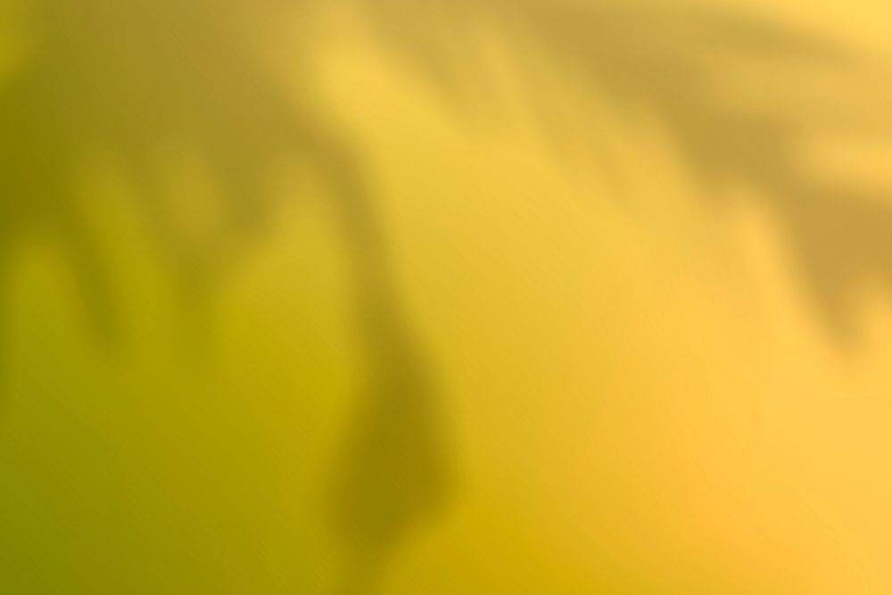 Abstract yellow gradient background psd with plant shadow