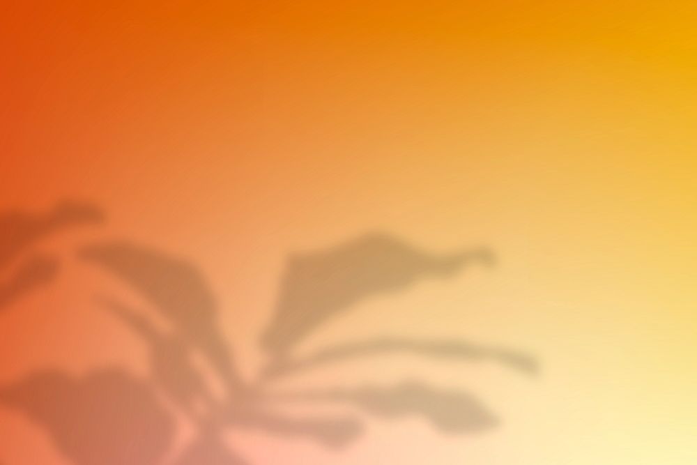 Sunset color background psd with leaf shadow