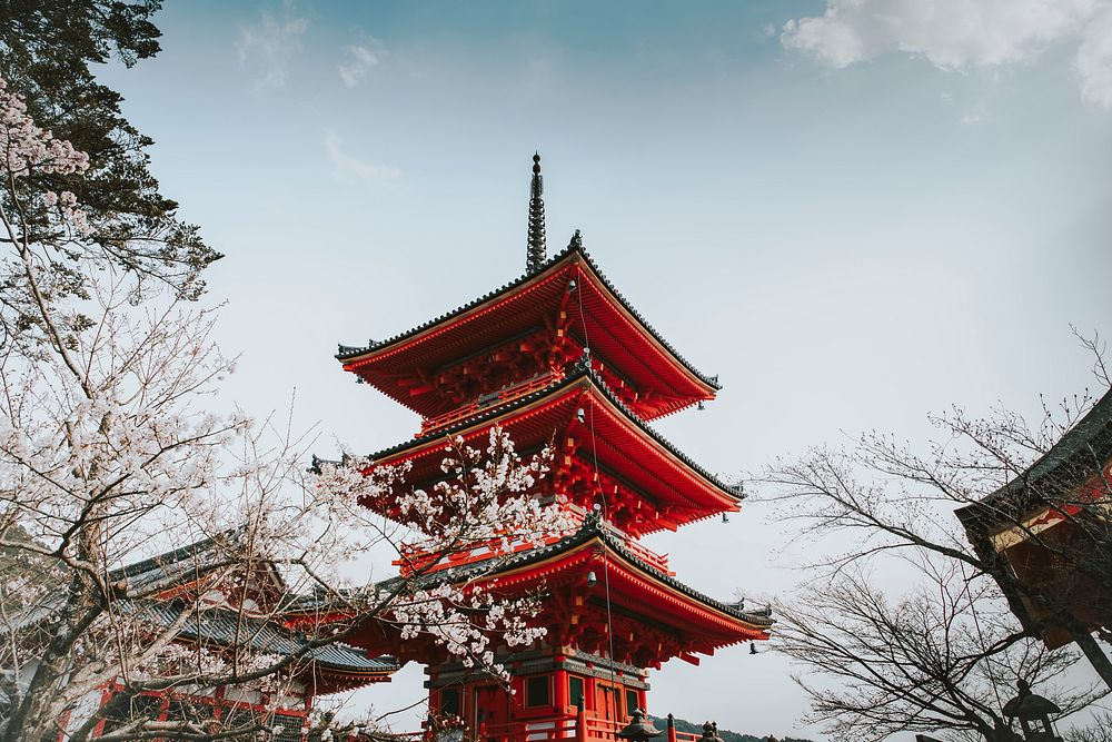 Chureito pagoda in Fujiyoshida, Japan, vivid tone