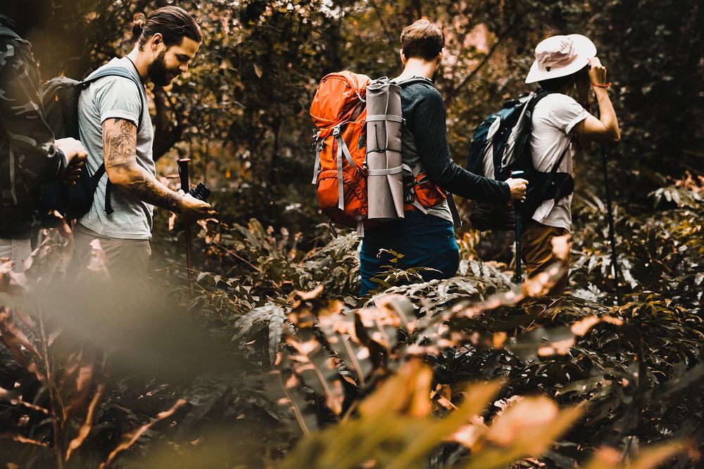 Adventure desktop wallpaper background, trekking in the woods, warm tone