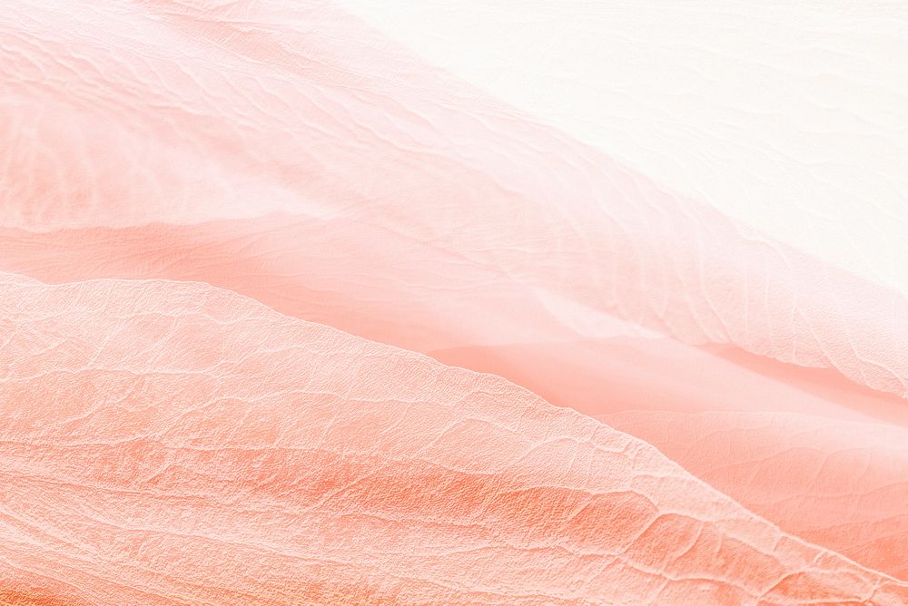 Petal texture background in coral pink for blog banner