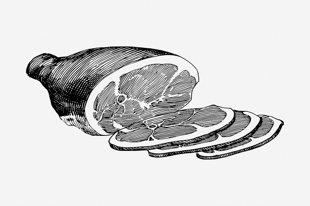 Ham drawing, vintage food illustration. Free public domain CC0 image.