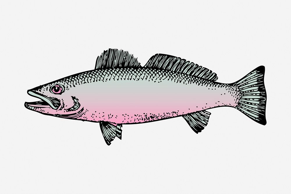 Fish clipart, sea animal vintage illustration vector. Free public domain CC0 image.