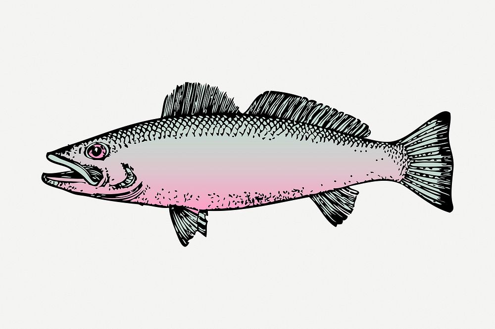 Fish sticker, sea life vintage illustration psd. Free public domain CC0 image.