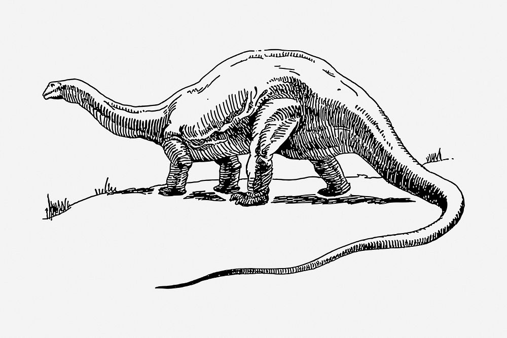 Dinosaur clipart, extinct animal vintage illustration vector. Free public domain CC0 image.