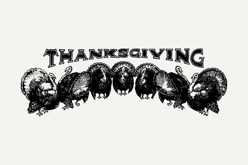Thanksgiving turkeys typography drawing, greeting vintage illustration psd. Free public domain CC0 image.