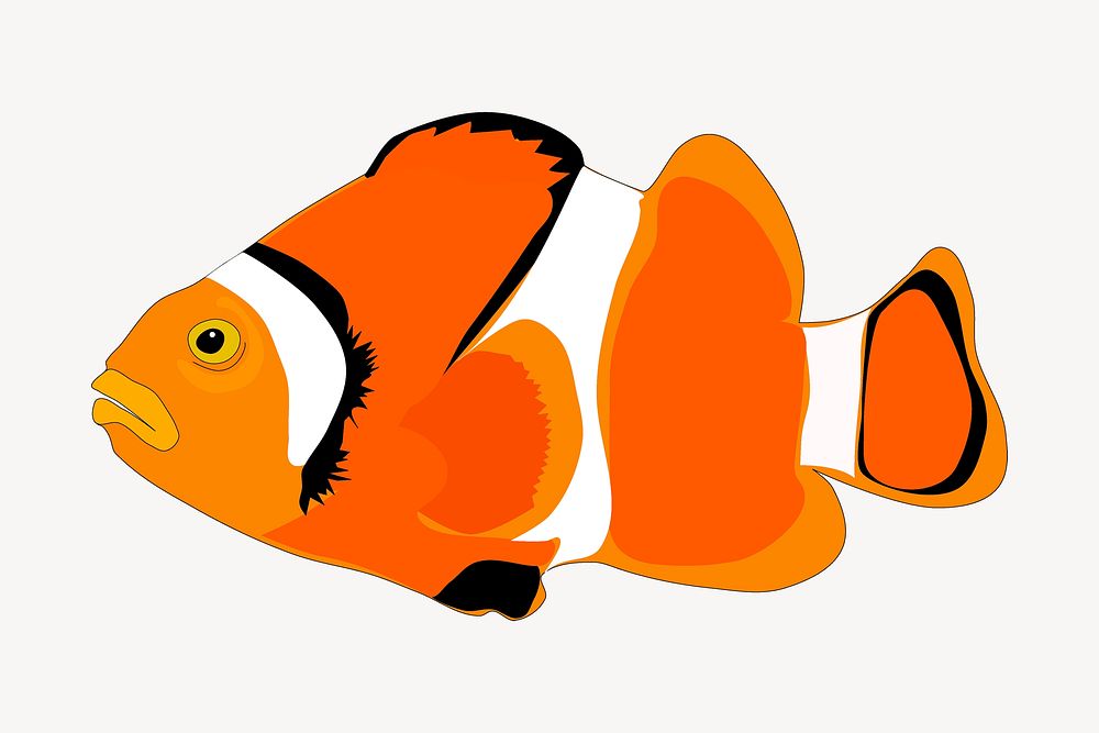 Clownfish clipart, cartoon animal illustration psd. Free public domain CC0 image.
