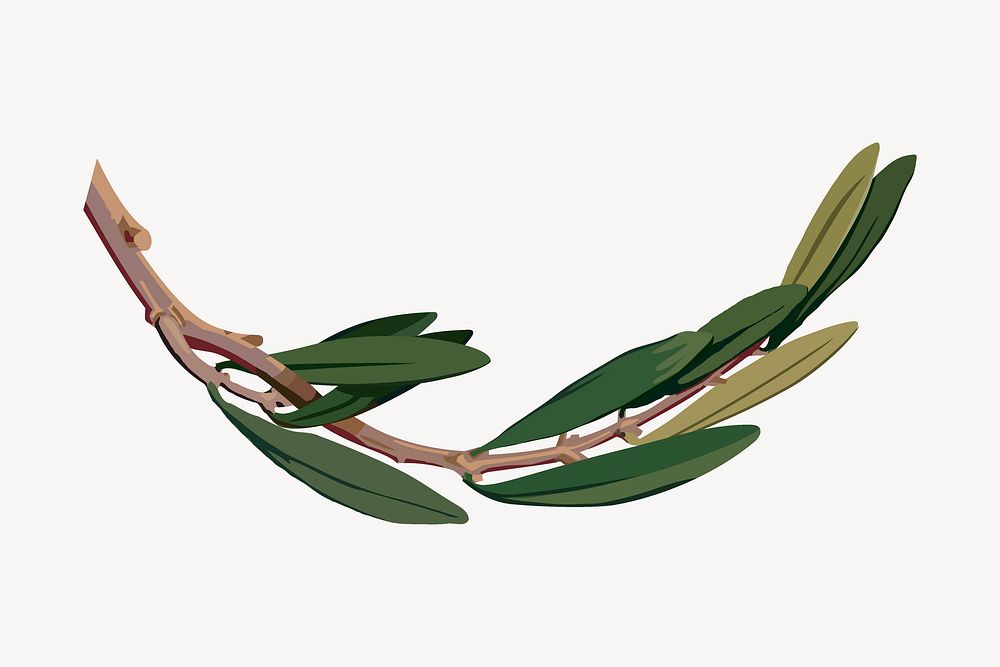 Olive branch sticker, plant illustration vector. Free public domain CC0 image.