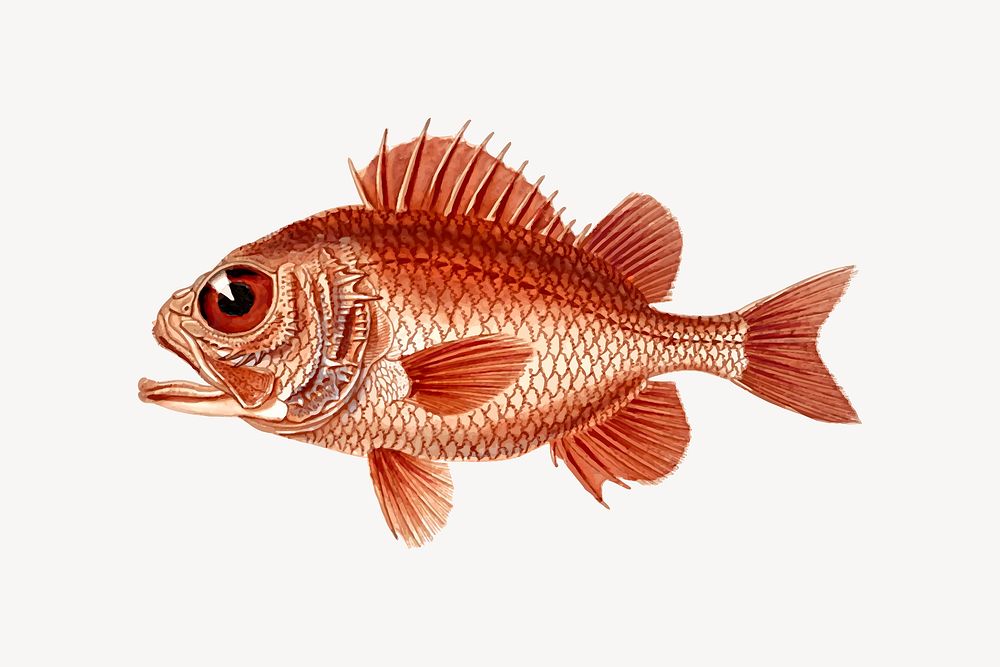 Fish sticker, animal cartoon illustration vector. Free public domain CC0 image.