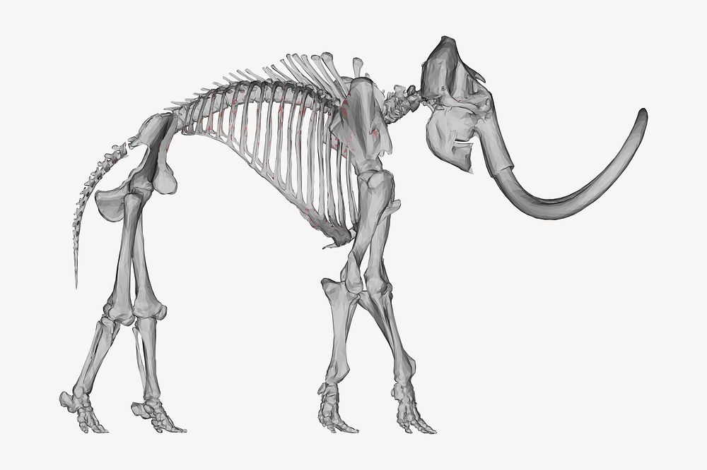 Mammoth fossil clipart, animal illustration psd. Free public domain CC0 image.