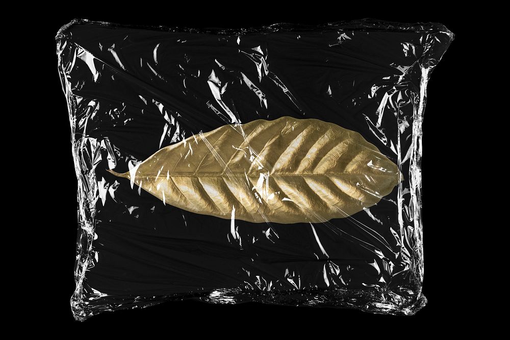 Gold leaf in plastic, black background