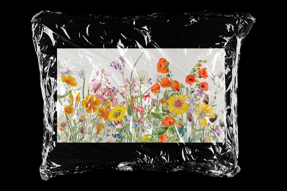 Flower card in plastic, black background
