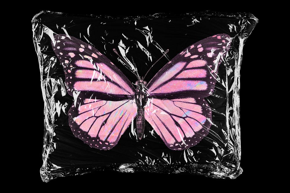 Buterfly in plastic, black background