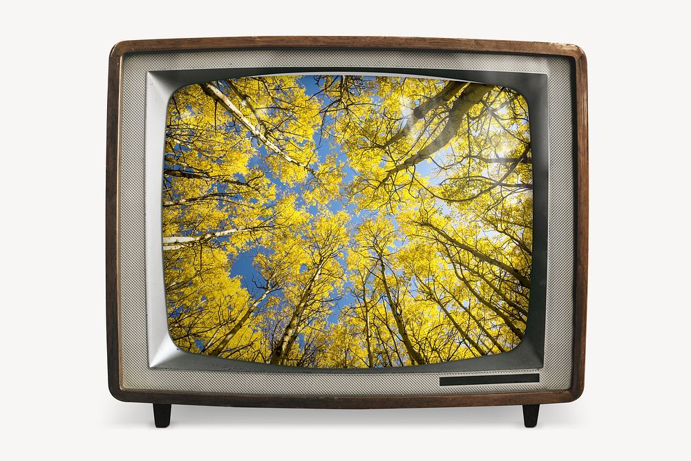 Aesthetic forest on retro television, nature photo