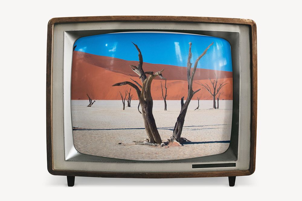 Desert trees on retro television, nature photo