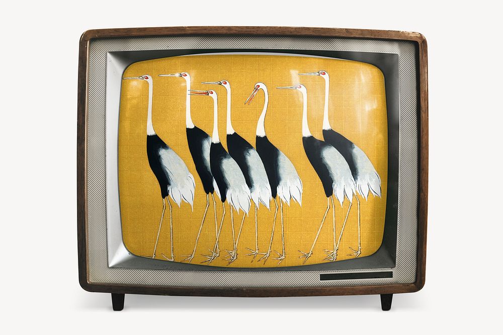 Japanese cranes on retro television, animal painting
