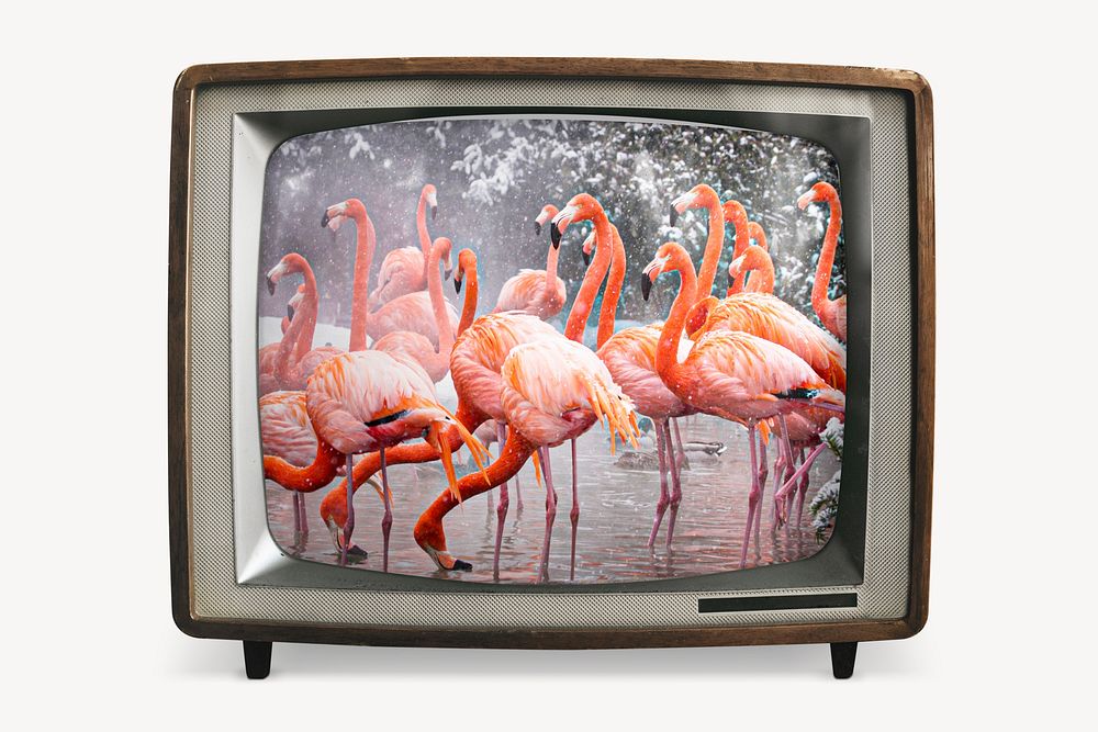 Aesthetic flamingos on retro television, animal photo