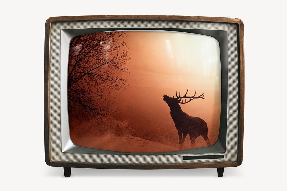 Howling stag on retro television, global warming photo