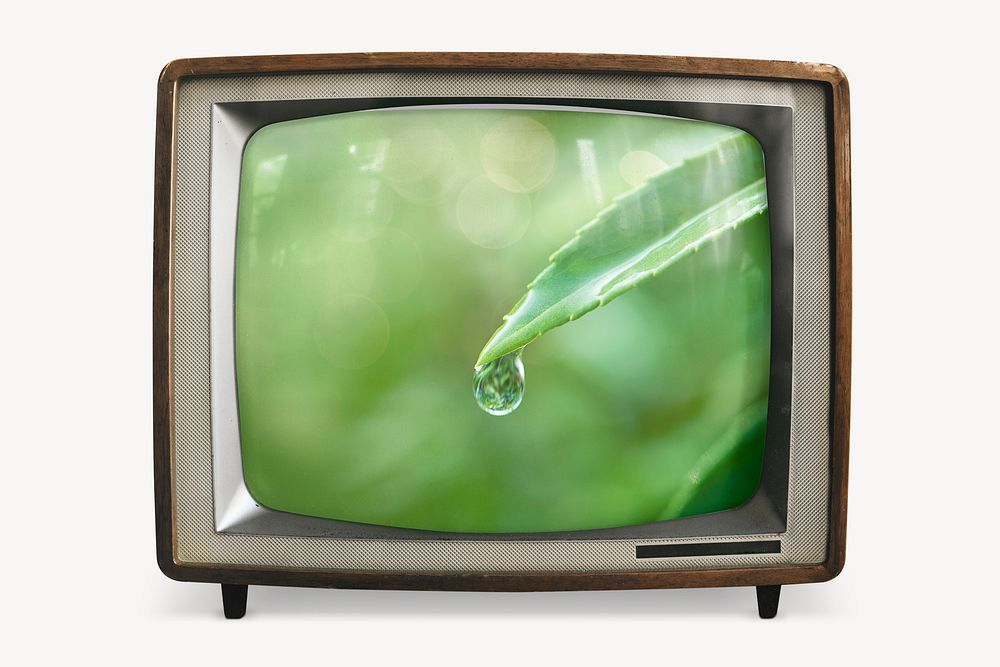 Water drop leaf on retro television, environment photo