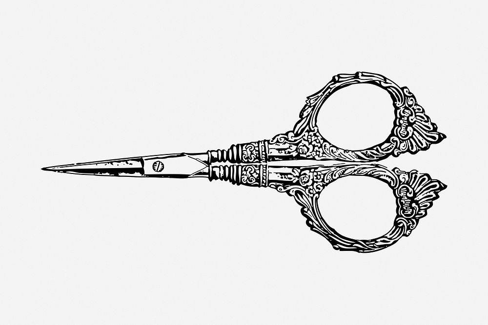 Ornate scissors drawing, vintage stationery illustration. Free public domain CC0 image.