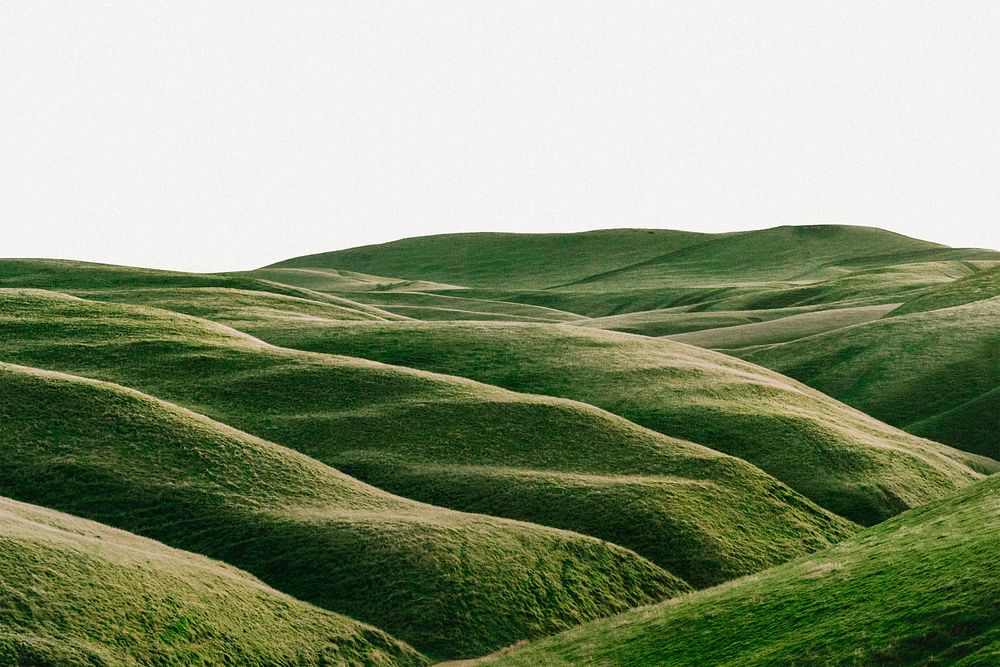 Rolling hills background, spring nature