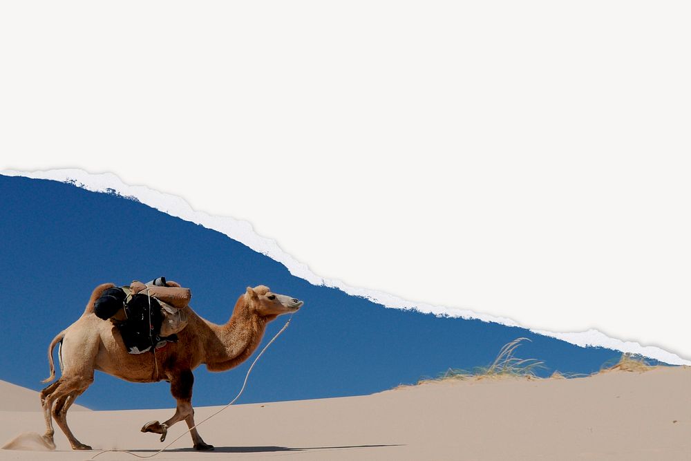 Camel background, ripped paper texture border