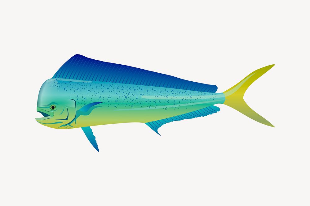 Mahi Mahi fish clipart, sea life illustration vector. Free public domain CC0 image.