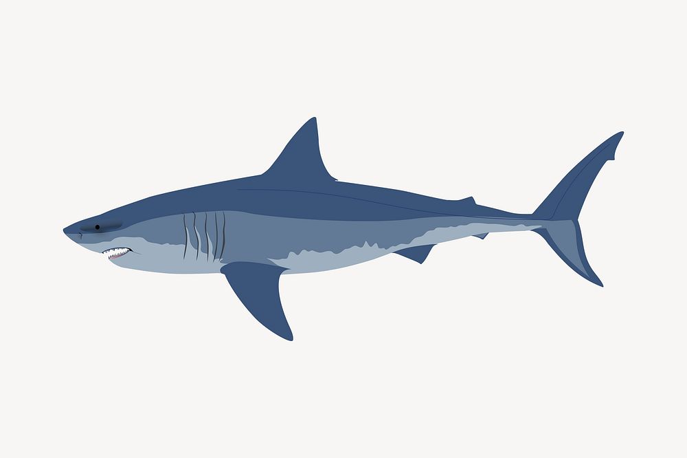 Great white shark clipart, sea life illustration vector. Free public domain CC0 image.