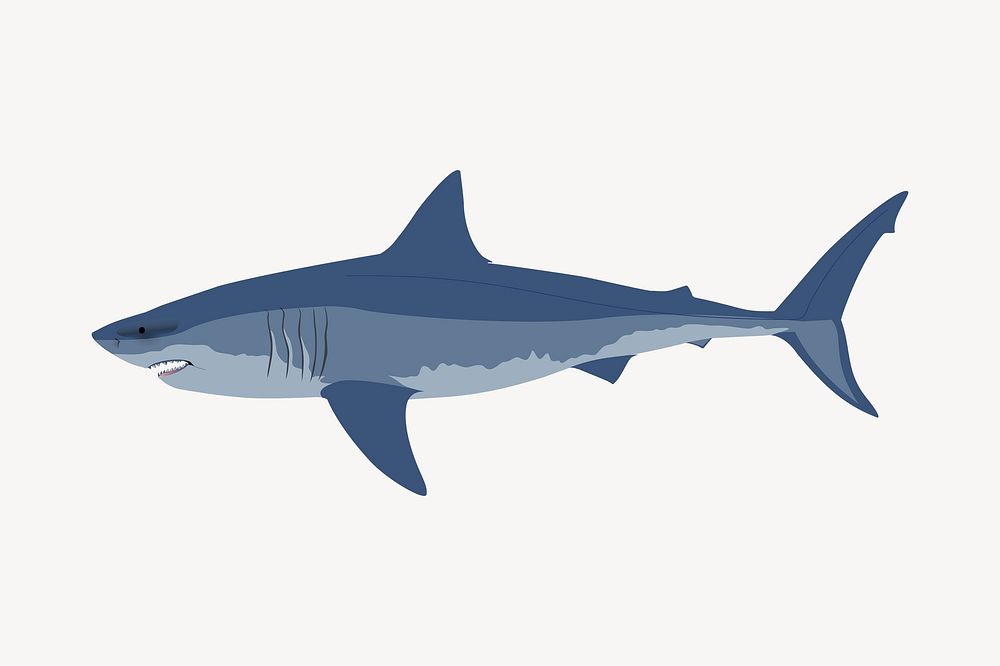 Great white shark sticker, sea animal illustration psd. Free public domain CC0 image.