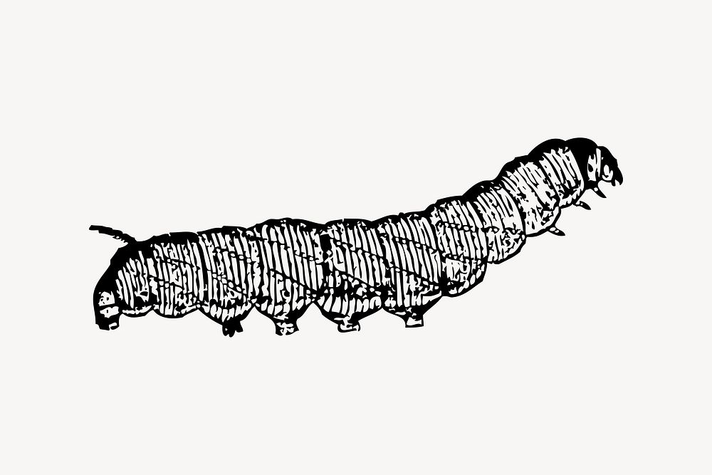 Caterpillar clipart, insect illustration vector. Free public domain CC0 image.