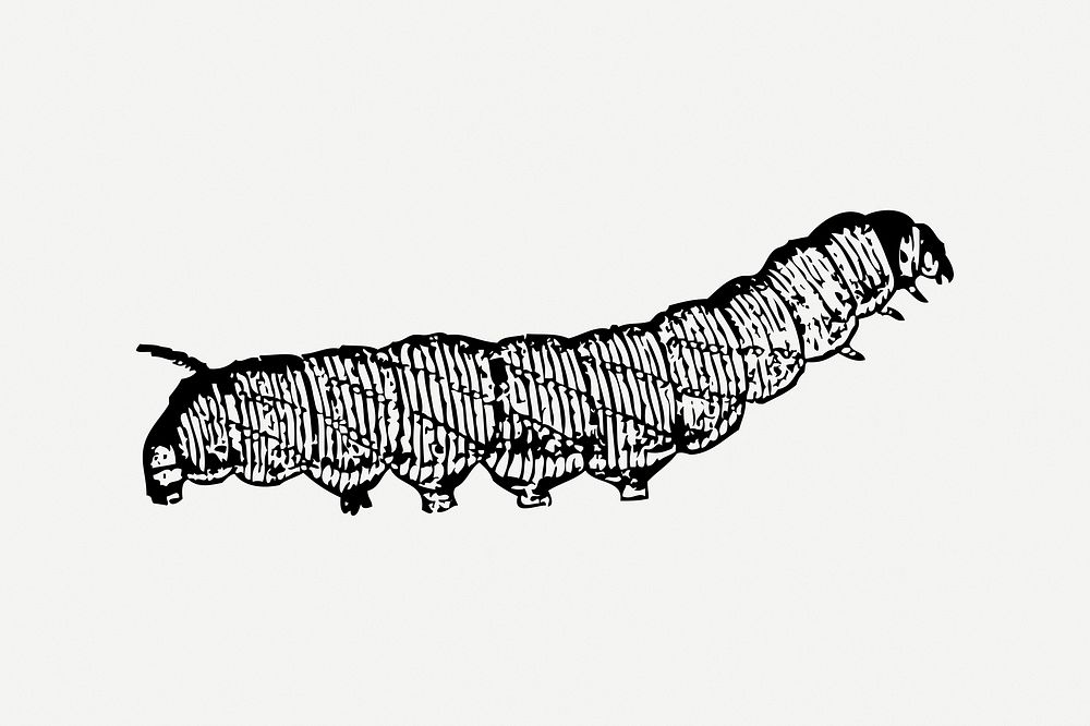 Caterpillar collage element, insect illustration psd. Free public domain CC0 image.