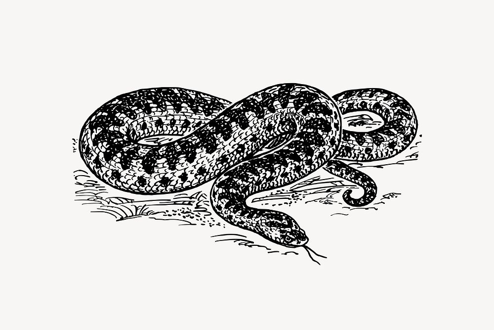 Snake clipart, animal illustration vector. Free public domain CC0 image.
