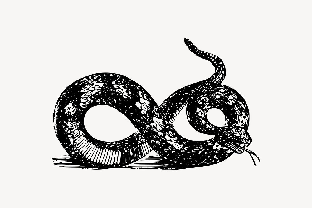 Snake clipart, animal illustration vector. Free public domain CC0 image.