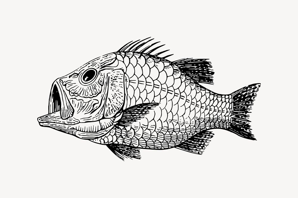 Fish fossil drawing, extinct animal illustration vector. Free public domain CC0 image.