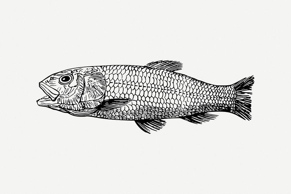 Sea fish collage element, extinct animal illustration psd. Free public domain CC0 image.