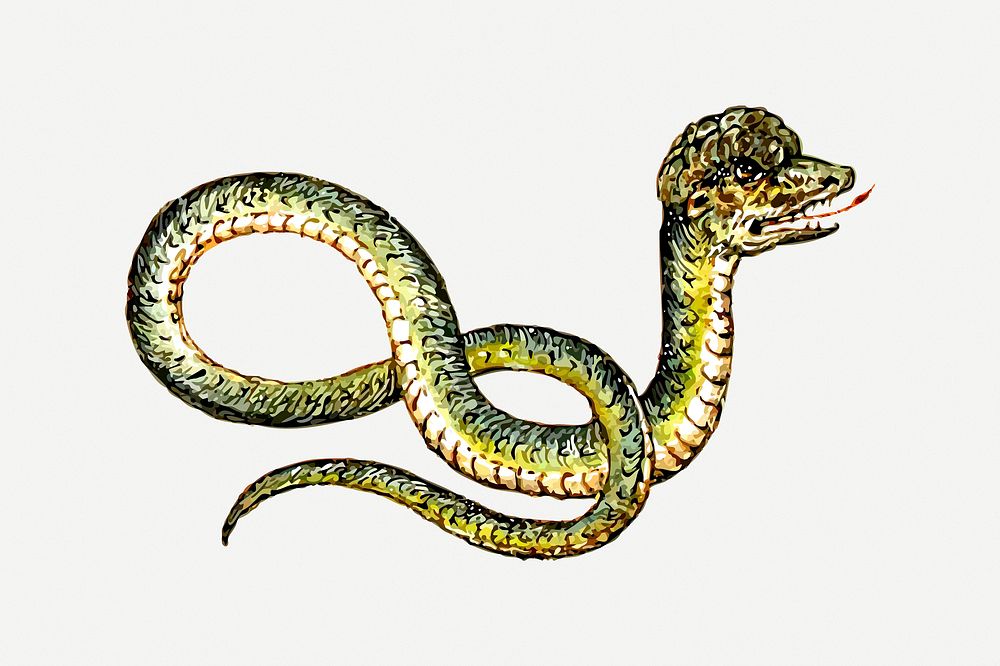 Snake drawing, animal illustration psd. Free public domain CC0 image.