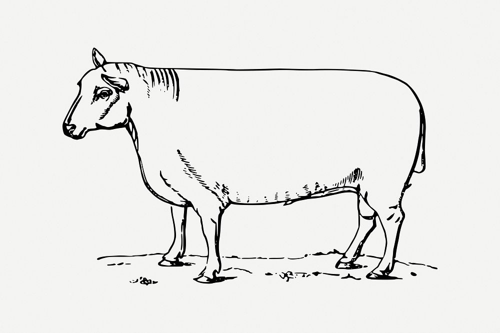 Sheep collage element, animal illustration psd. Free public domain CC0 image.