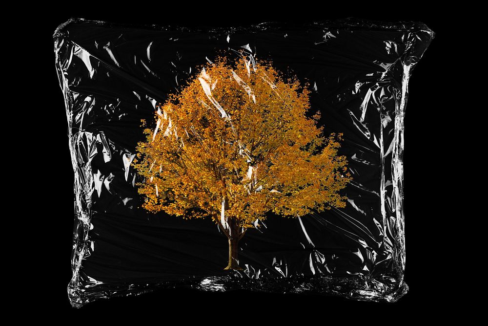 Dried tree in plastic bag, Autumn aesthetic creative concept art