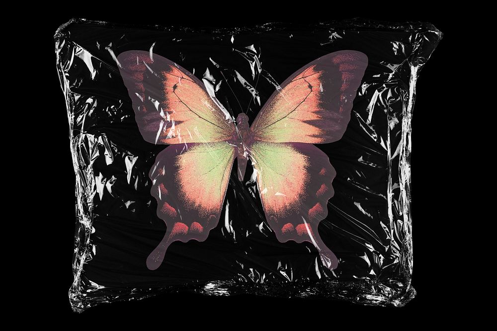 Monarch butterfly in plastic bag, spirit animal creative concept art