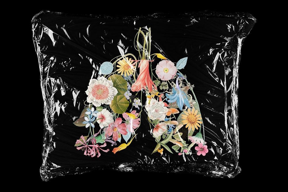 Floral lungs in plastic bag, surreal creative concept art