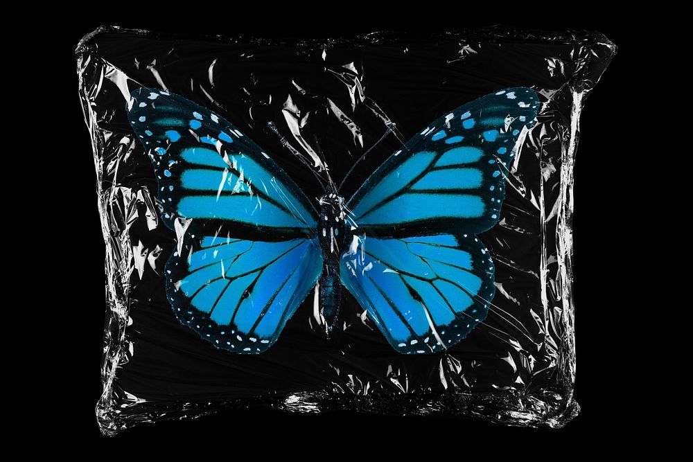 Blue butterfly in plastic bag, spirit animal creative concept art
